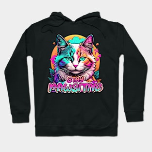 Cute Funny Cat Stay Pawsitive 3 Hoodie